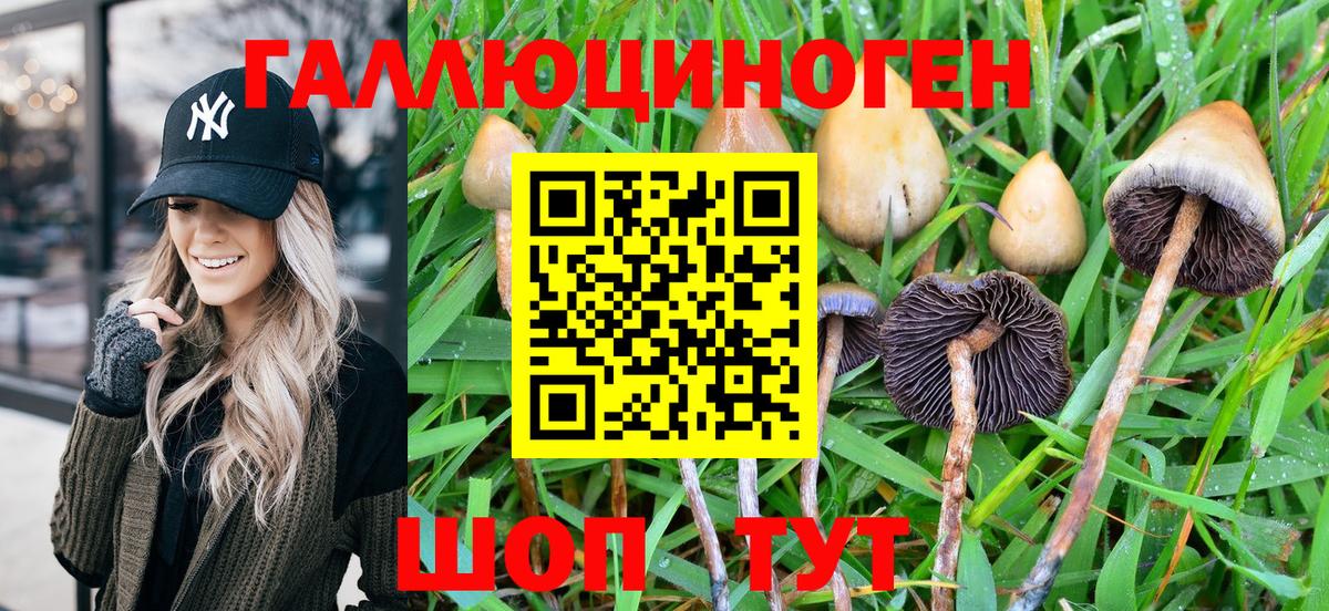 Галлюциногенные грибы Psilocybe  Вход с VPN  Ростов Великий 